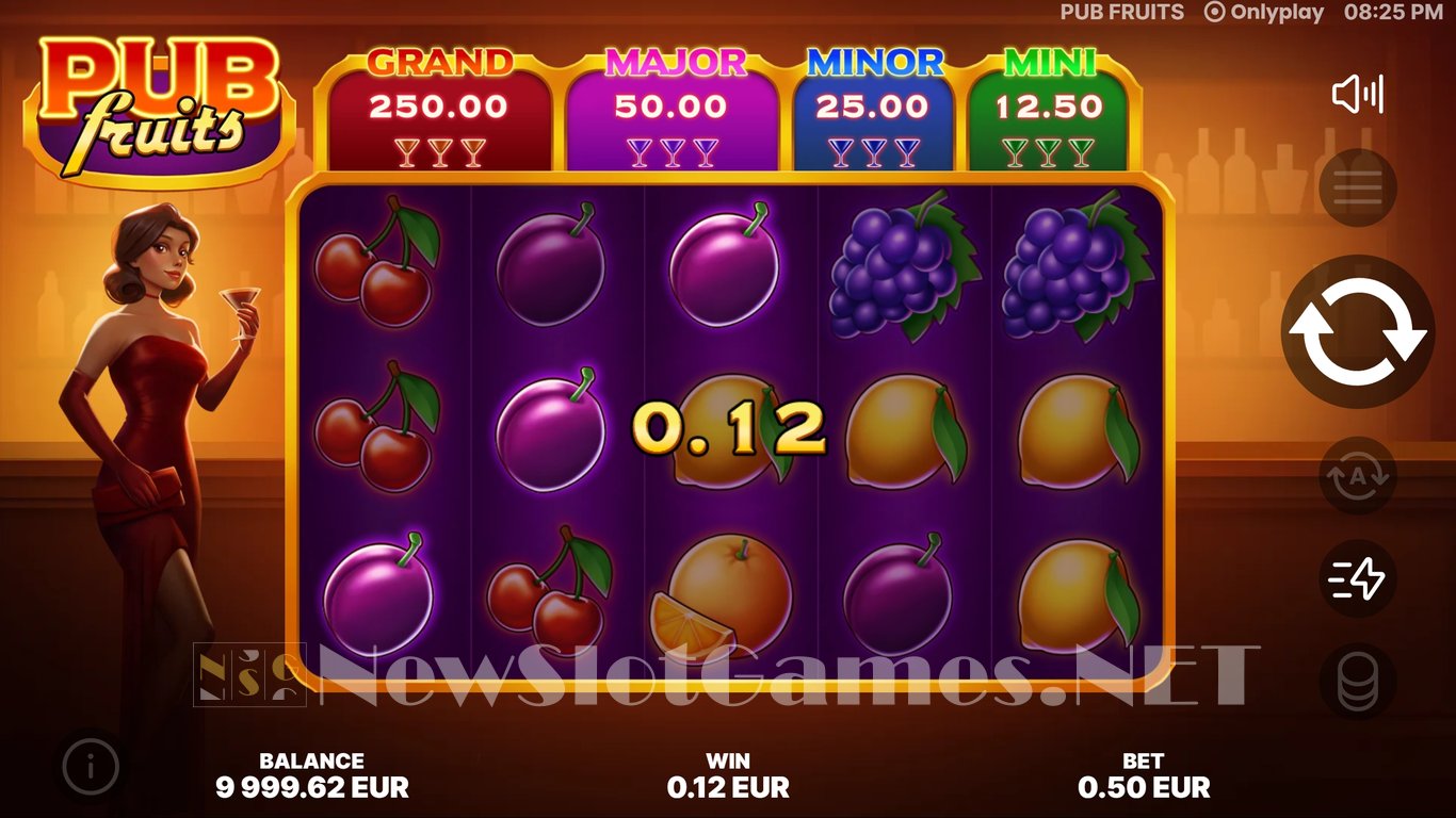 Pub Fruits Slot Demo Image