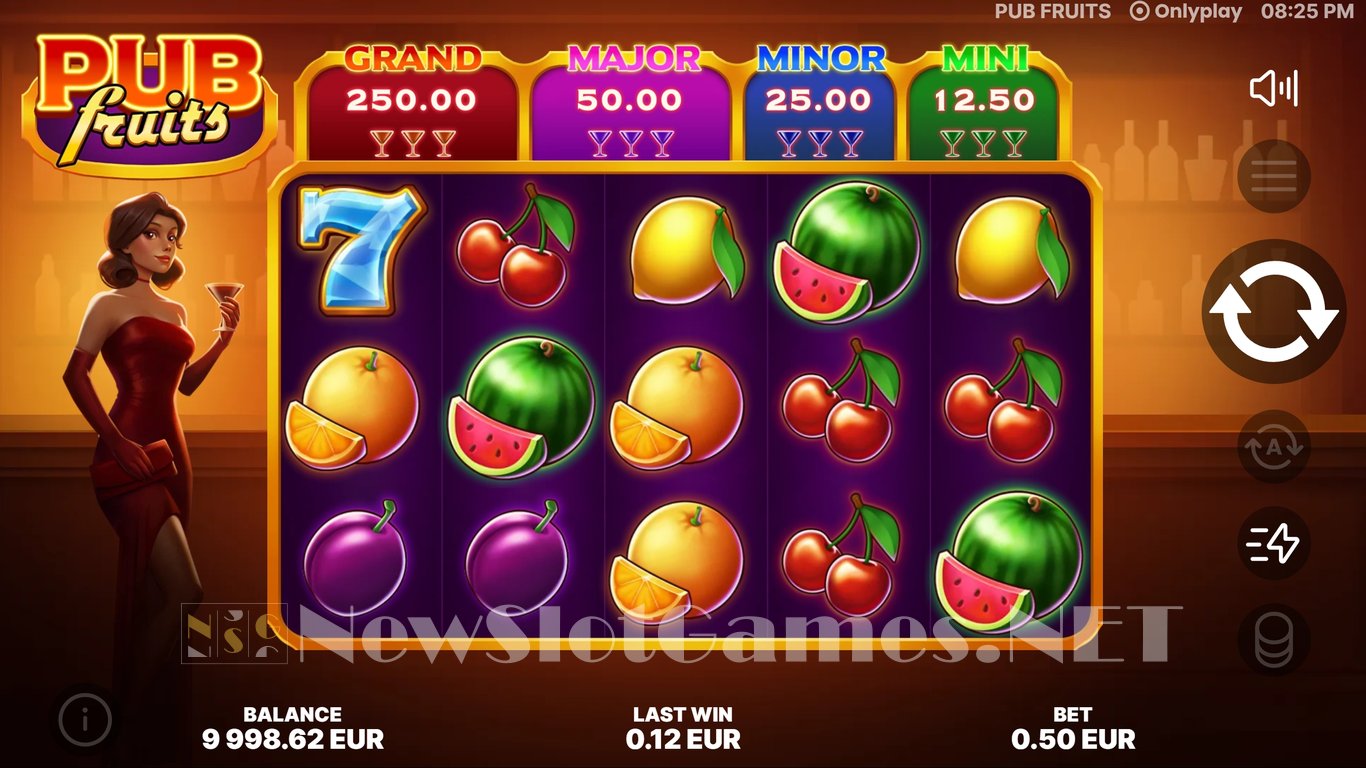 Pub Fruits Slot Slot Image in Demo - pic. 2