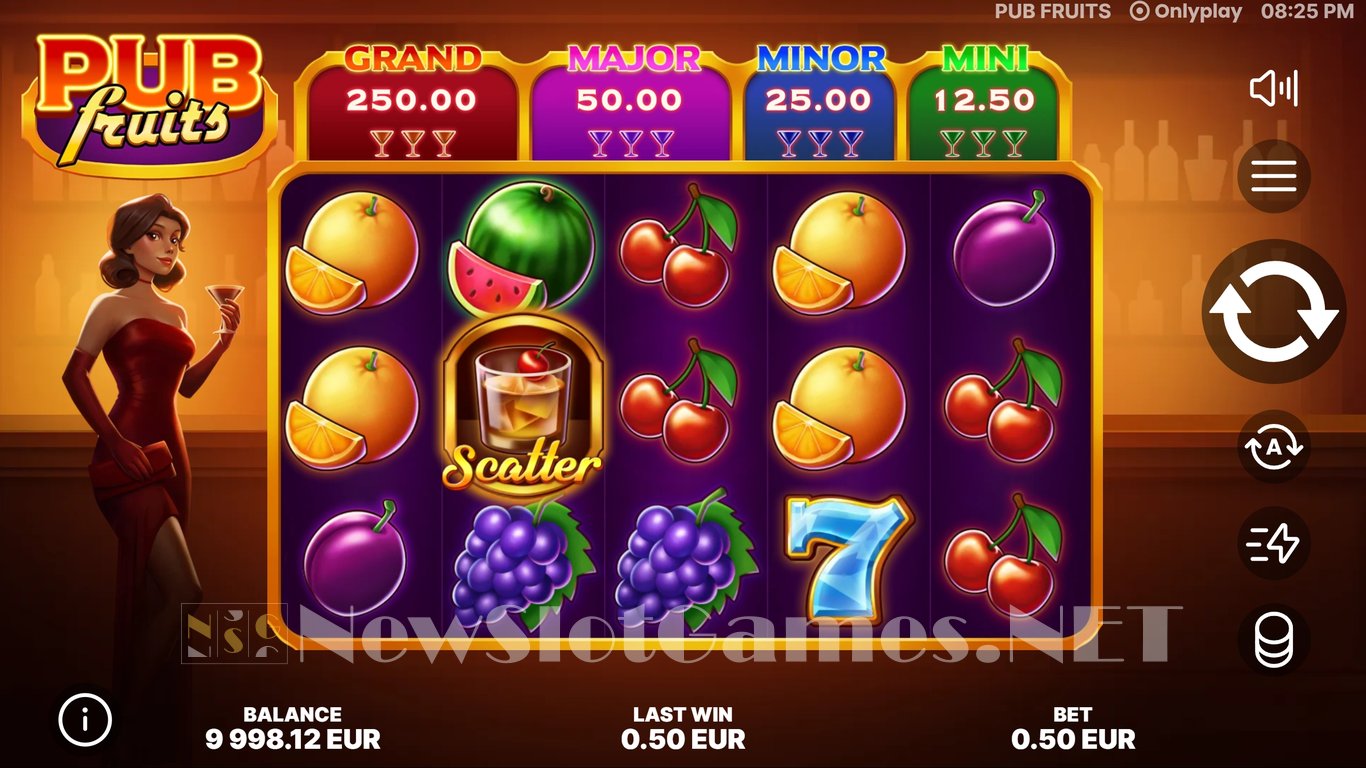 Pub Fruits Slot Slot Image in Demo - pic. 3