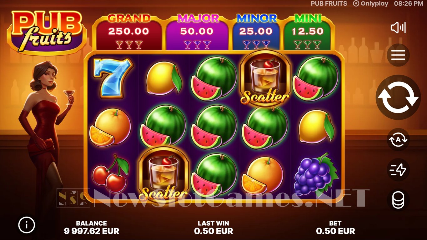 Pub Fruits Slot Slot Image in Demo - pic. 4