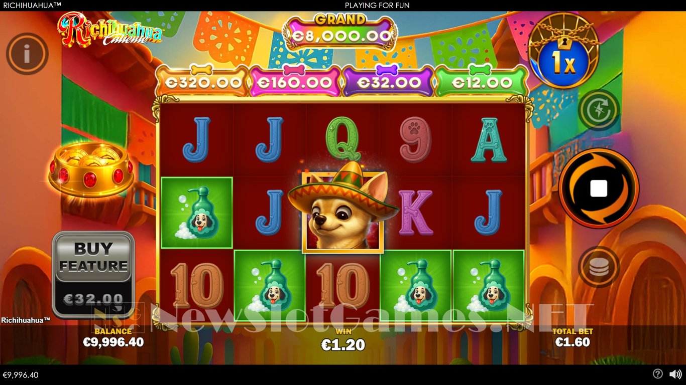 Richihuahua Slot Slot Image in Demo - pic. 2