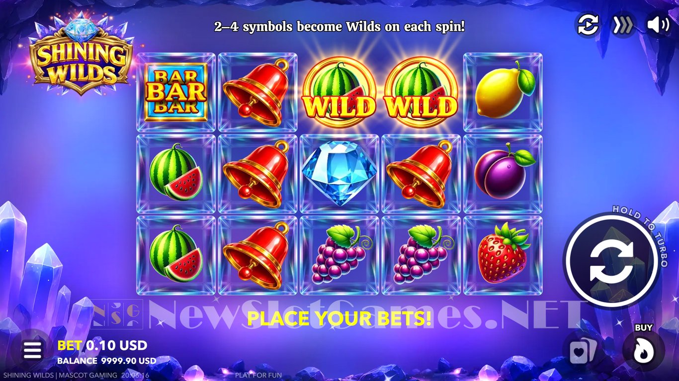 Shining Wilds Slot Demo Image