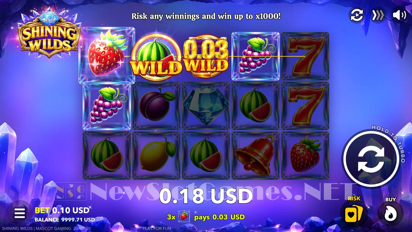 Shining Wilds Slot Slot Image in Demo - pic. 4