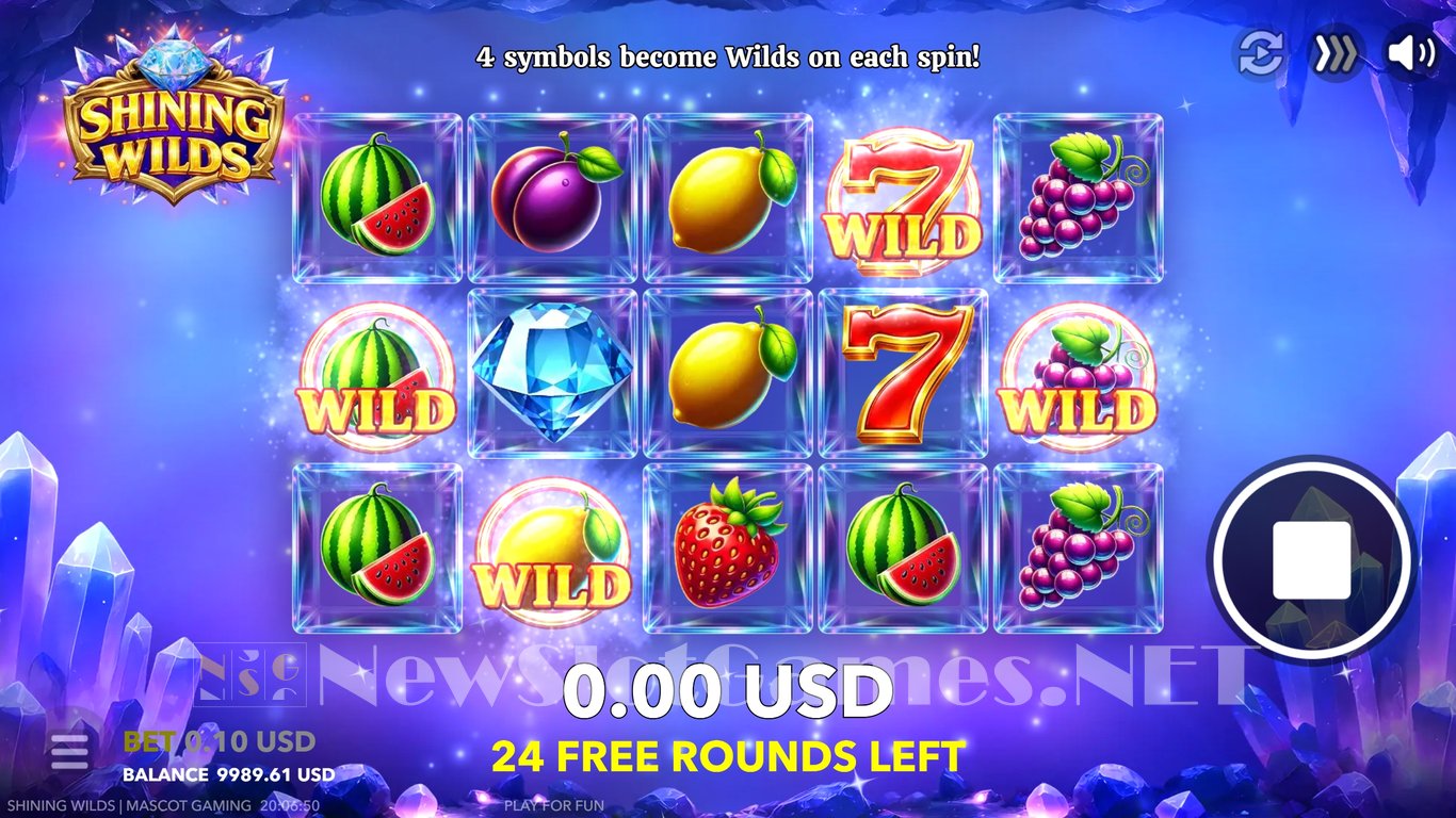 Shining Wilds Slot Slot Image in Demo - pic. 8