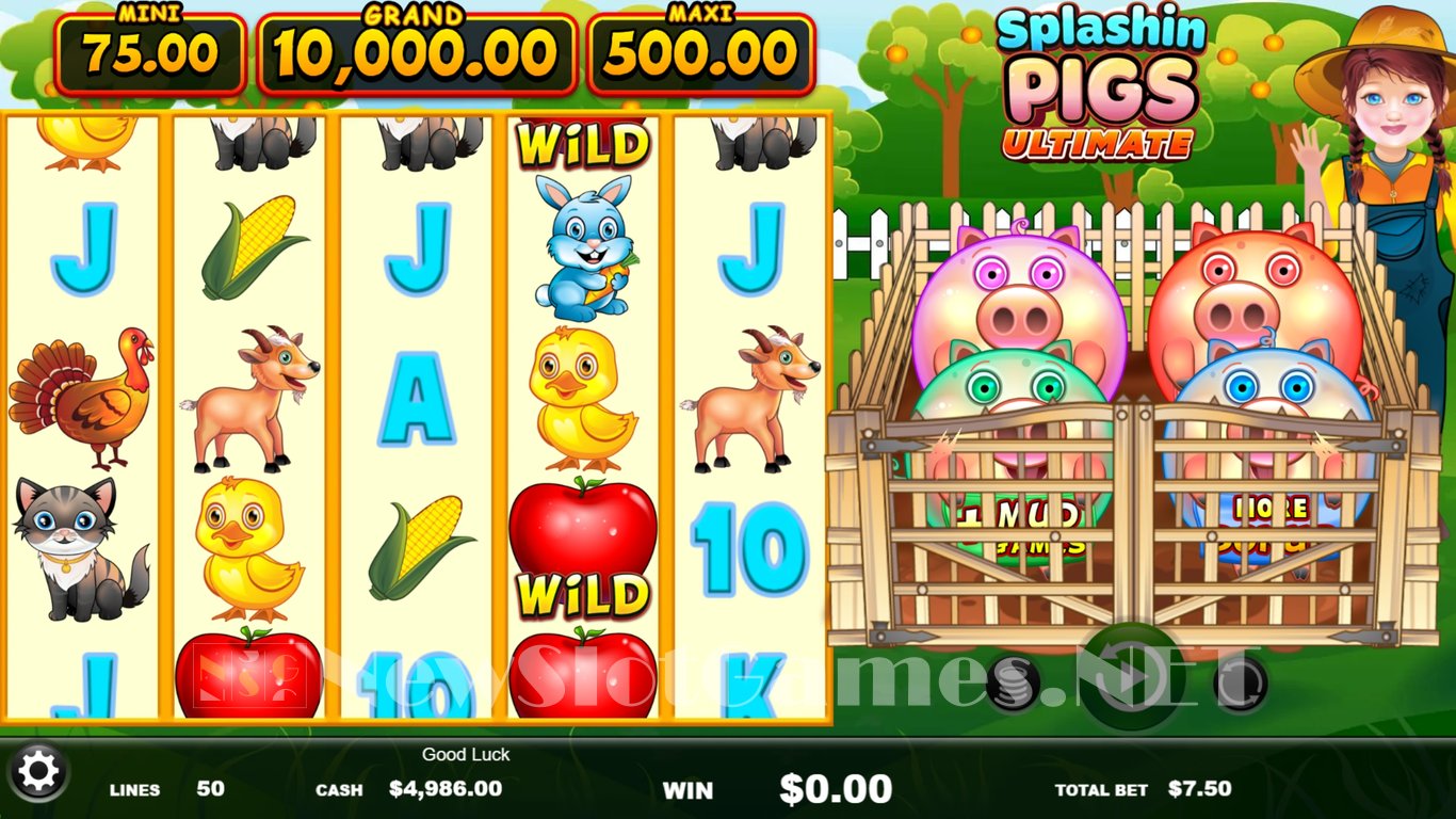Splashin Pigs Ultimate Slot Slot Image in Demo - pic. 2