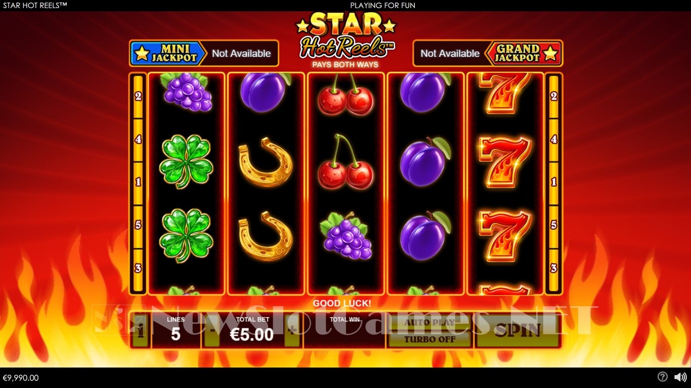 Star Hot Reels Slot Demo Image