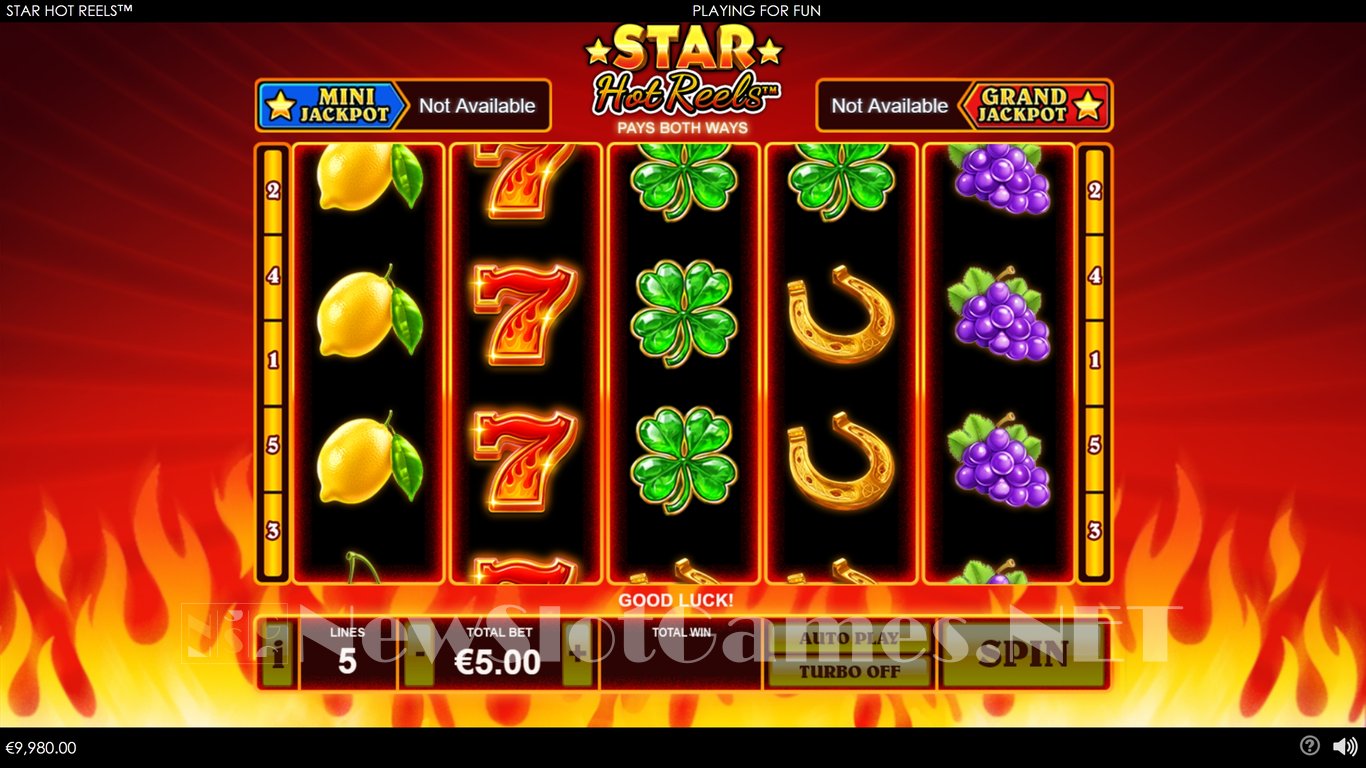 Star Hot Reels Slot Slot Image in Demo - pic. 2