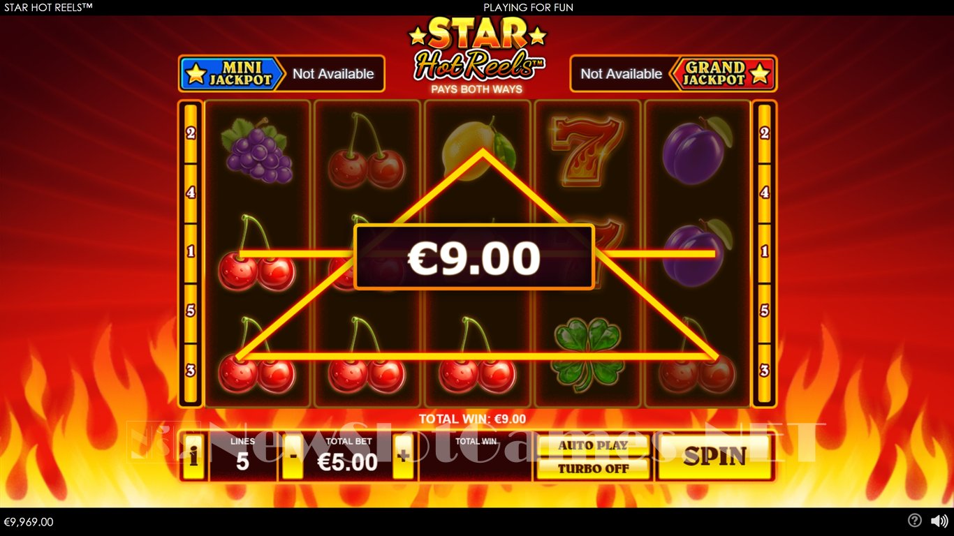 Star Hot Reels Slot Slot Image in Demo - pic. 3