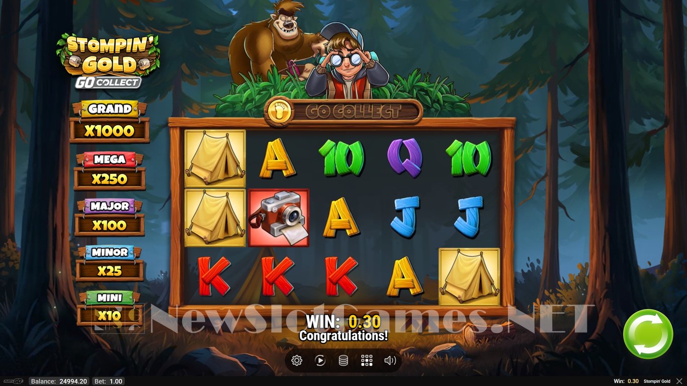Stompin Gold Slot Slot Image in Demo - pic. 4