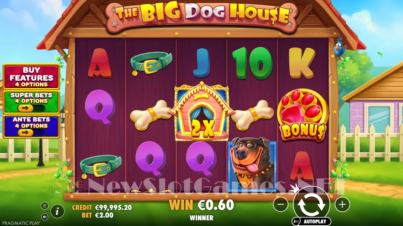 The Big Dog House Slot Slot Image in Demo - pic. 3
