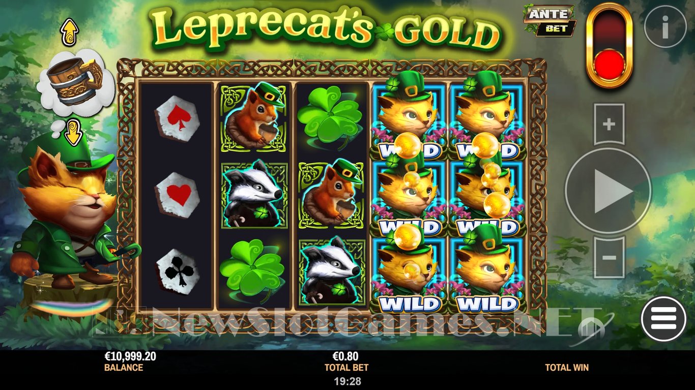 The Leprecats Gold Slot Slot Image in Demo - pic. 2