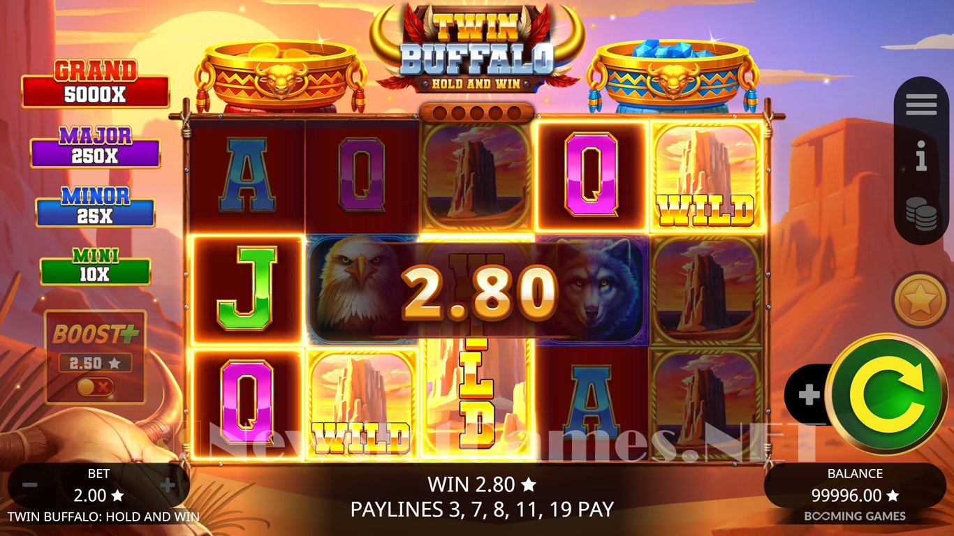 Twin Buffalo Hold and Win Slot Slot Image in Demo - pic. 2
