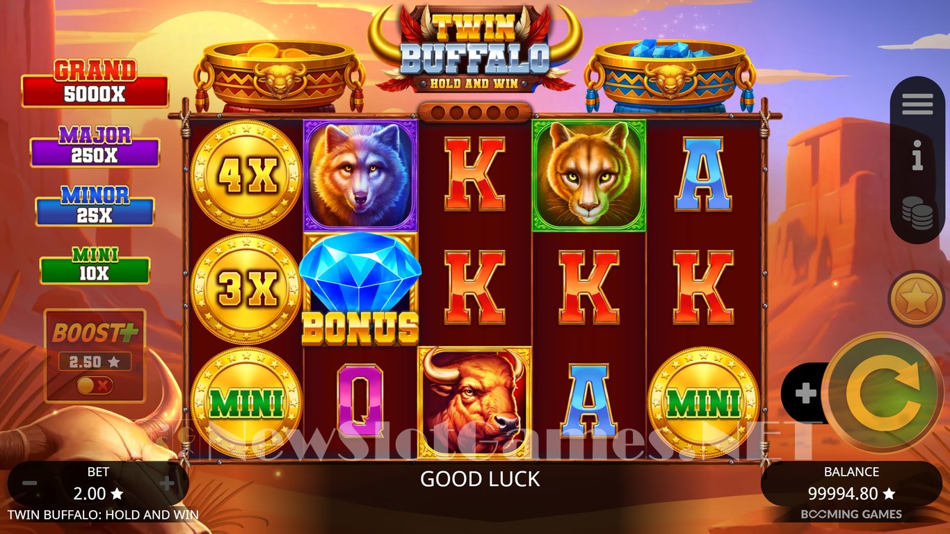 Twin Buffalo Hold and Win Slot Slot Image in Demo - pic. 3