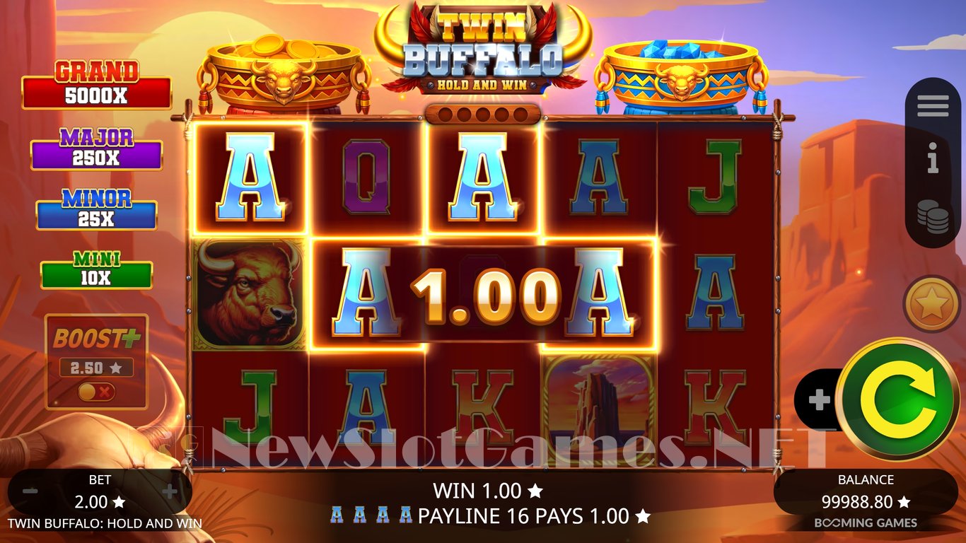 Twin Buffalo Hold and Win Slot Slot Image in Demo - pic. 4