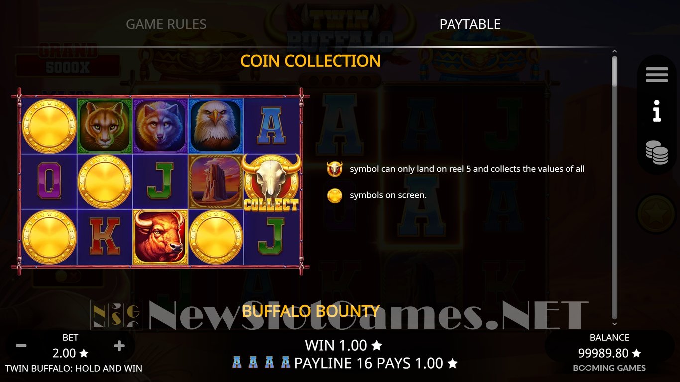 Twin Buffalo Hold and Win Slot Slot Image in Demo - pic. 5