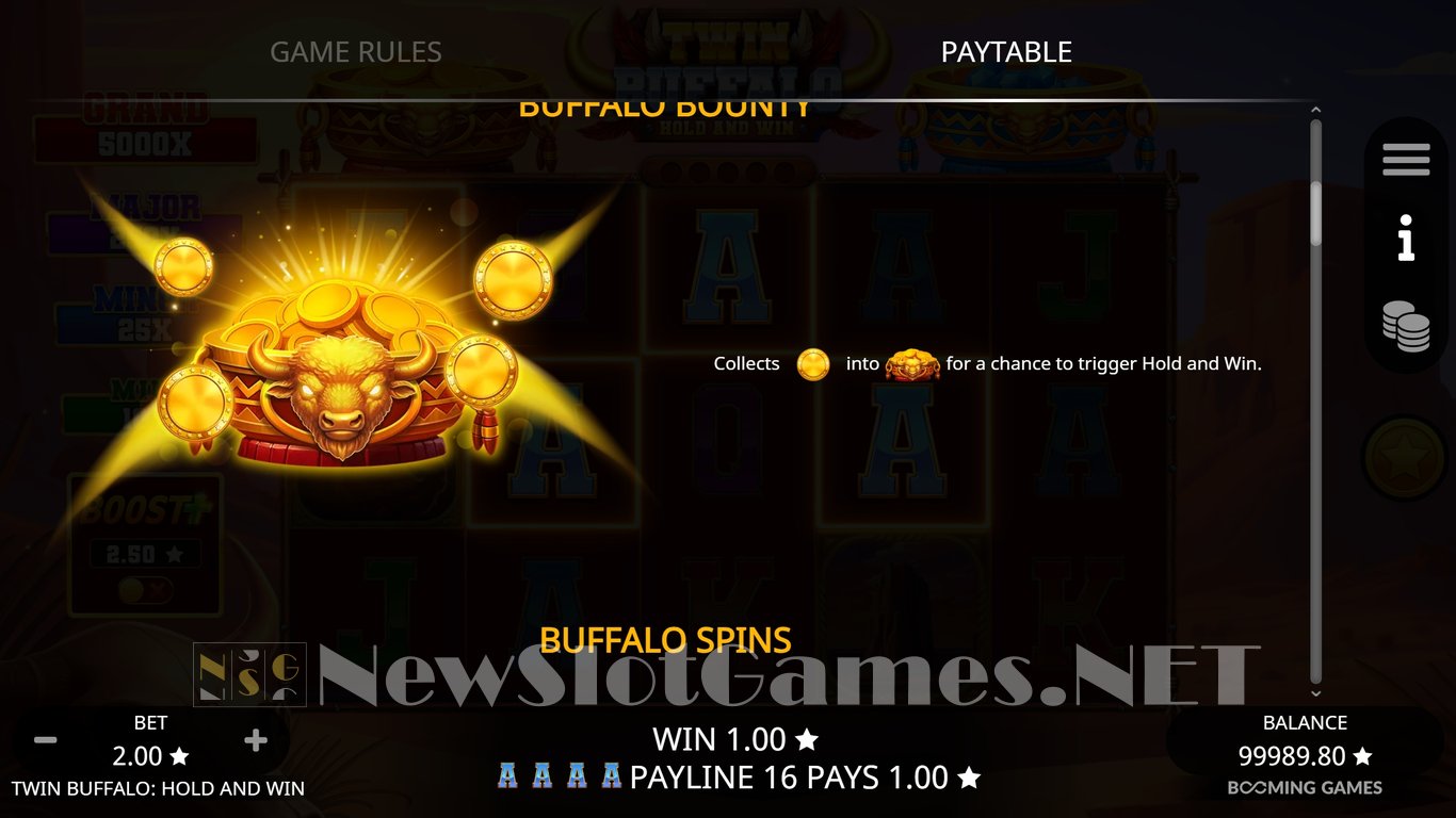 Twin Buffalo Hold and Win Slot Slot Image in Demo - pic. 6