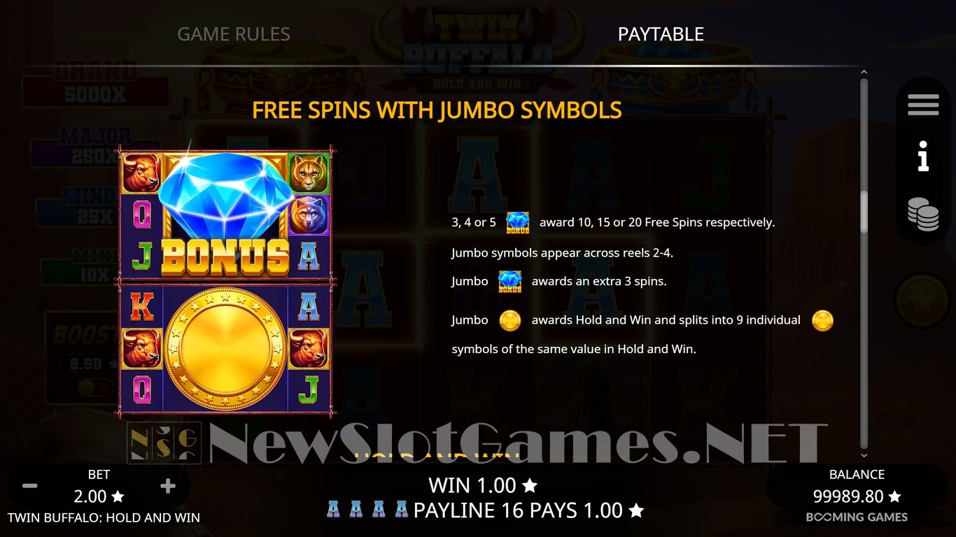 Twin Buffalo Hold and Win Slot Slot Image in Demo - pic. 7