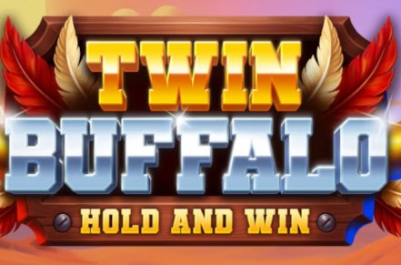 Twin Buffalo Hold and Win Slot Logo