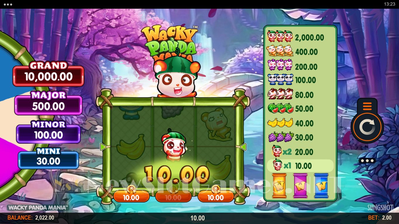 Wacky Panda Mania Slot Slot Image in Demo - pic. 2