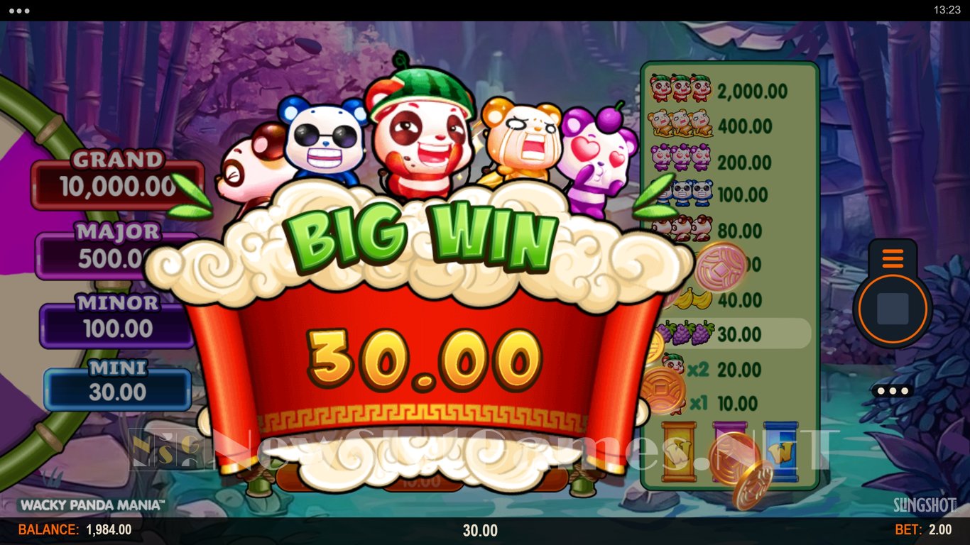 Wacky Panda Mania Slot Slot Image in Demo - pic. 4