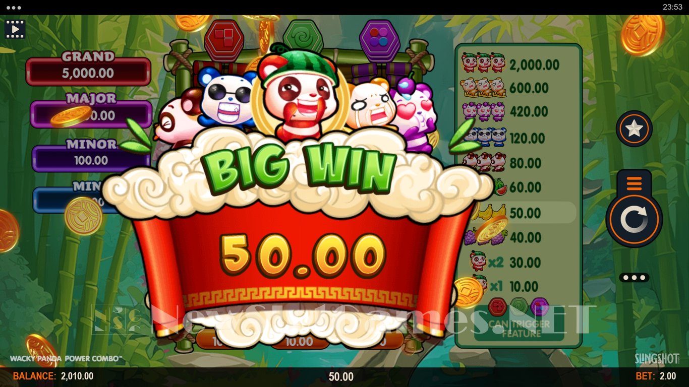 Wacky Panda Power Combo Slot Slot Image in Demo - pic. 4