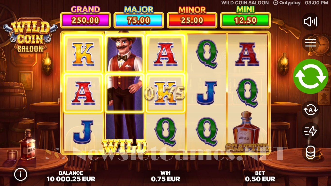 Wild Coin Saloon Slot Slot Image in Demo - pic. 2