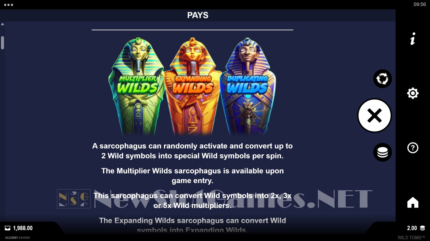 Wild Tomb Slot Slot Image in Demo - pic. 6