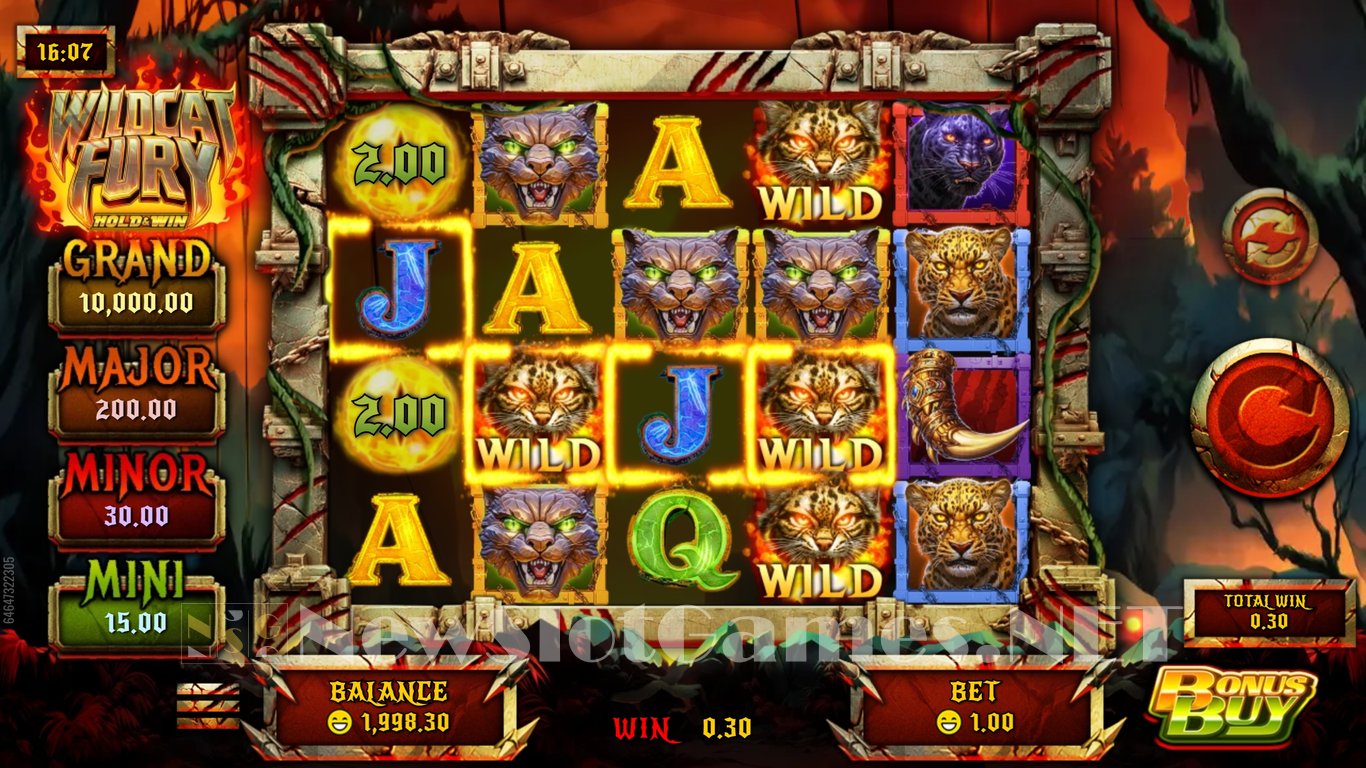 Wildcat Fury Slot Slot Image in Demo - pic. 2