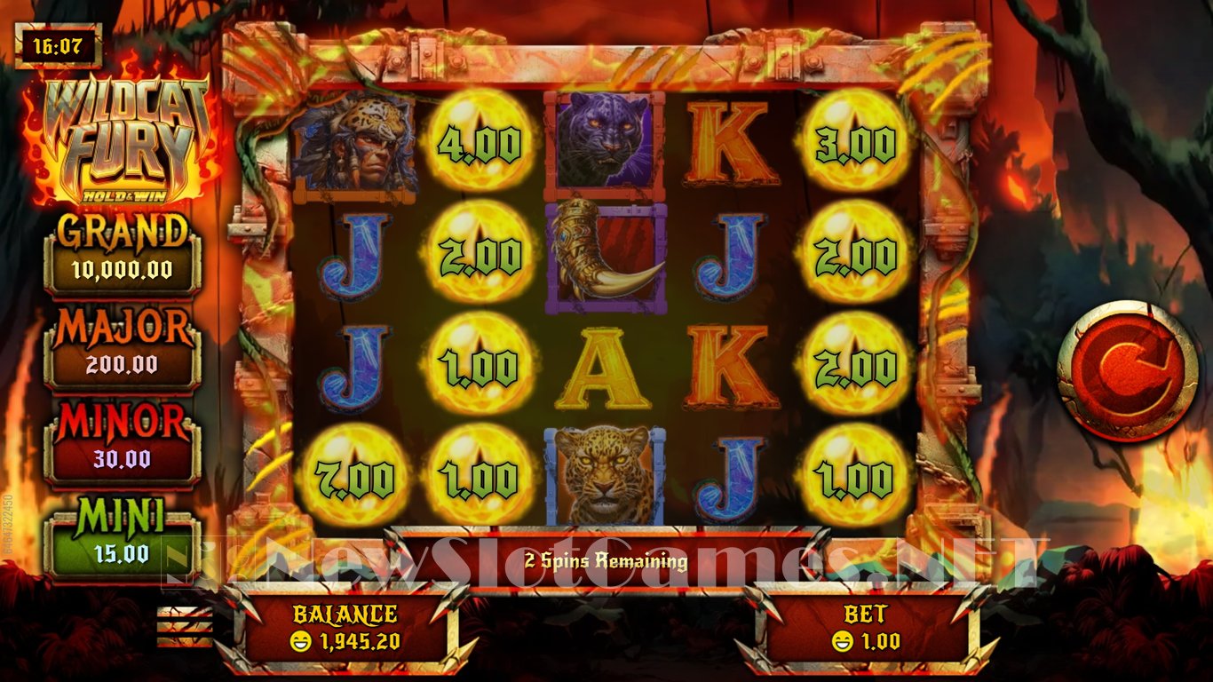 Wildcat Fury Slot Slot Image in Demo - pic. 6