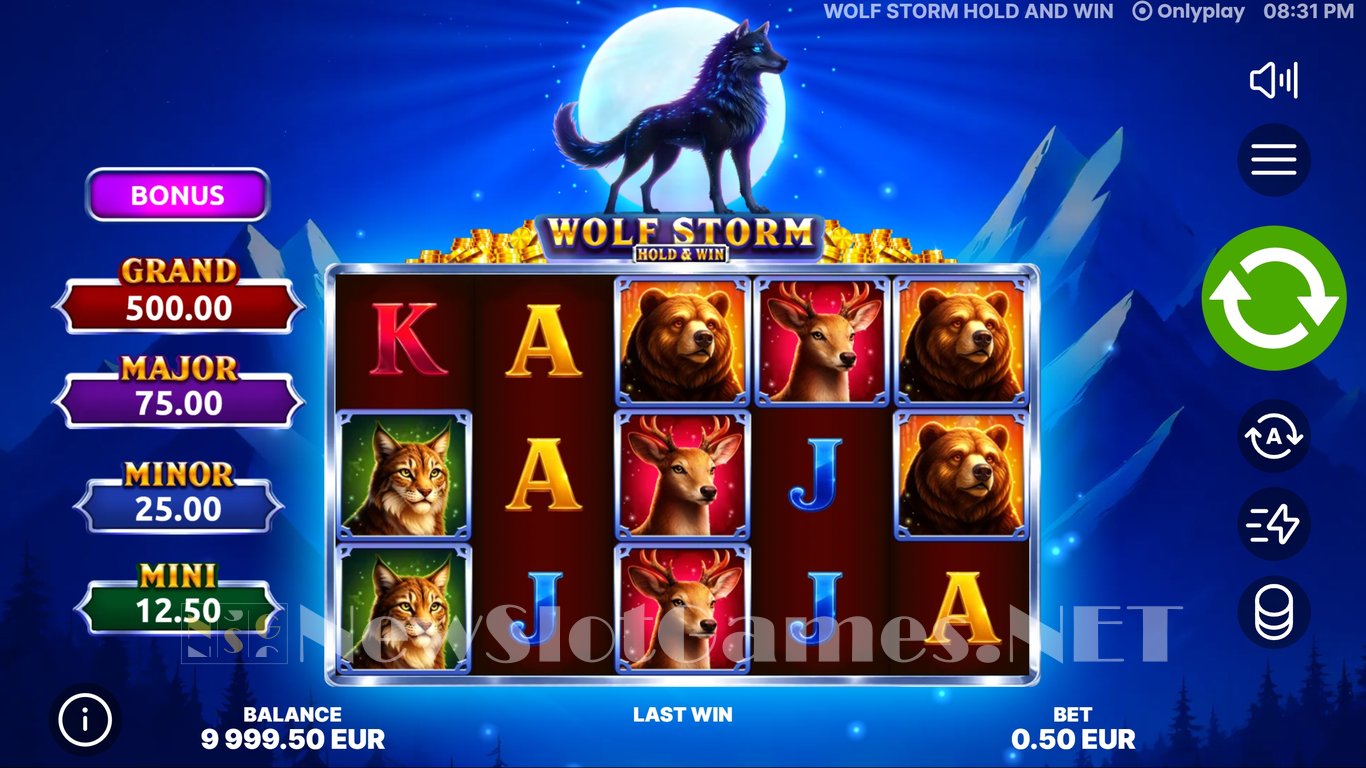 Wolf Storm Hold & Win Slot Slot Image in Demo - pic. 2